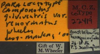 Media type: image; Entomology 22419   Aspect: labels 3